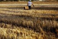 Αγρότες : Ελεγχοι επί τόπου για πίνακα προσωπικού