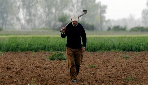 Picture 0 for ΕΛΓΑ: Αύριο Τρίτη η πληρωμή αποζημιώσεων - Οι δικαιούχοι