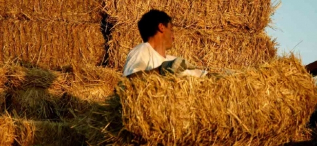 Picture 0 for Ρυθμίσεις για τους αγρότες ανακοίνωσε η κυβέρνηση