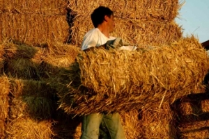 Ρυθμίσεις για τους αγρότες ανακοίνωσε η κυβέρνηση